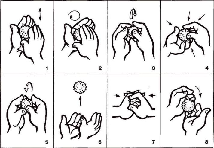 15350486_1843654662538947_4397172433464111172_n (1)