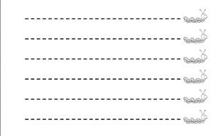 27332012_2023867781222363_6082649562577063177_n